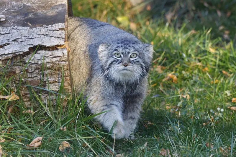 A photograph of Timofey in Moscow zoo