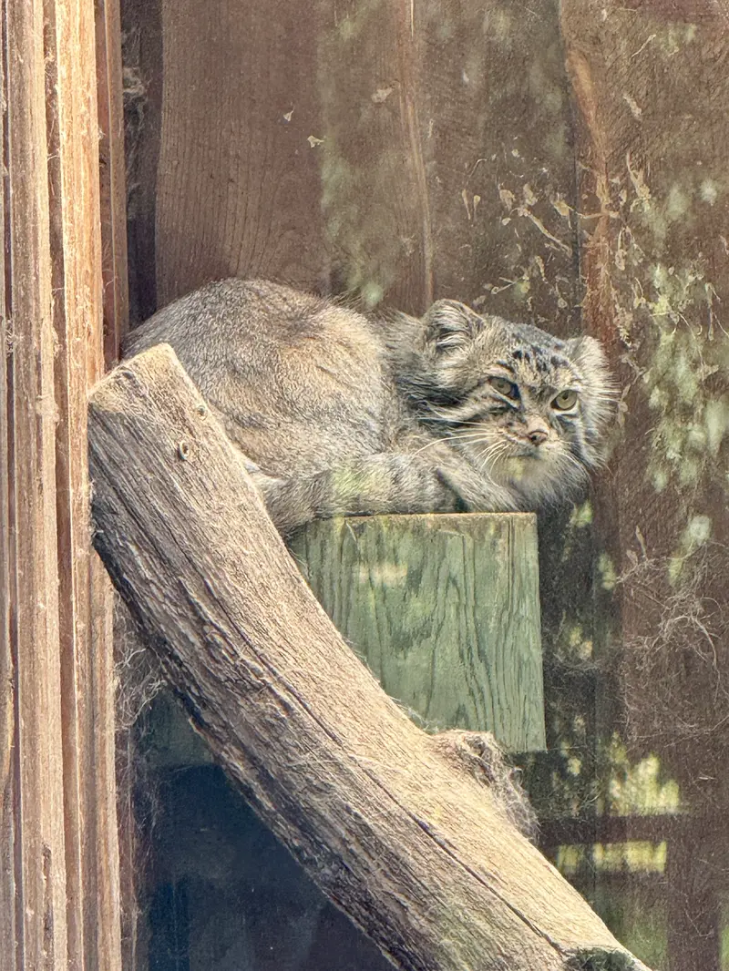 A photograph of Mars in Tallinn Zoo