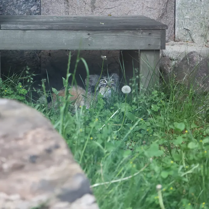 A photograph of Timofey in Moscow zoo
