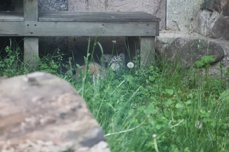 A photograph of Timofey in Moscow zoo