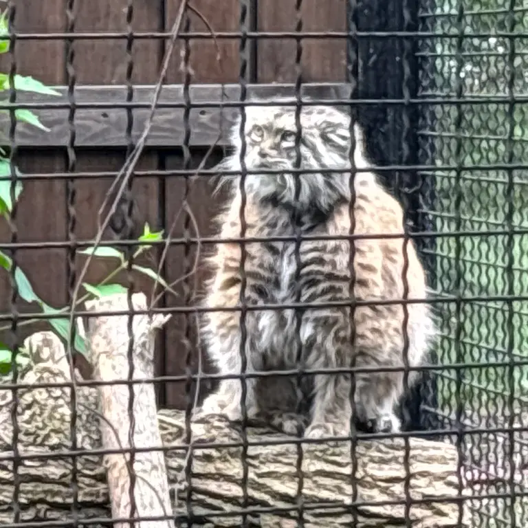 A photograph of Jessie in Warsaw Zoo