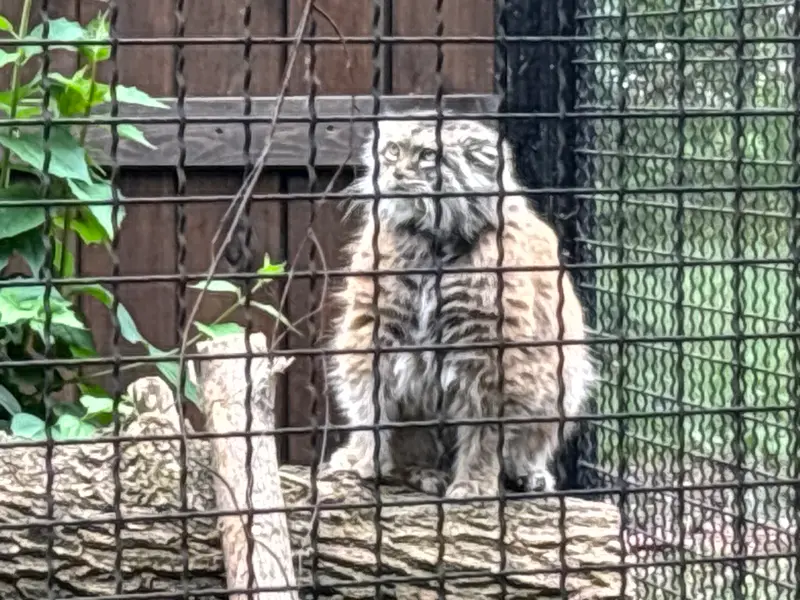 A photograph of Jessie in Warsaw Zoo