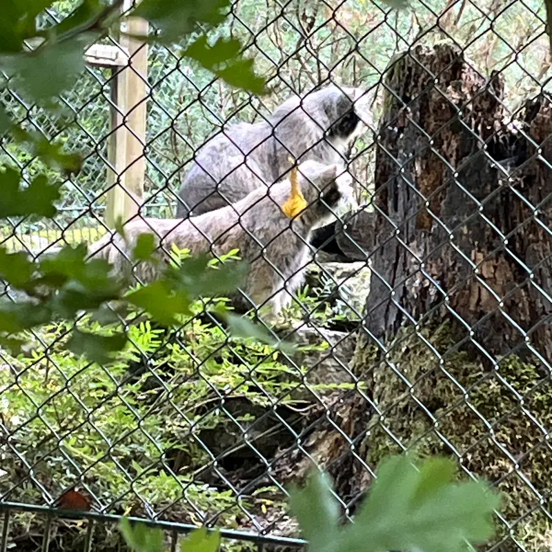 A photograph of Fay and Batu in Opel Zoo