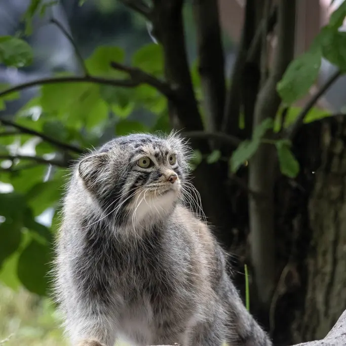 A photograph of Timofey in Moscow zoo