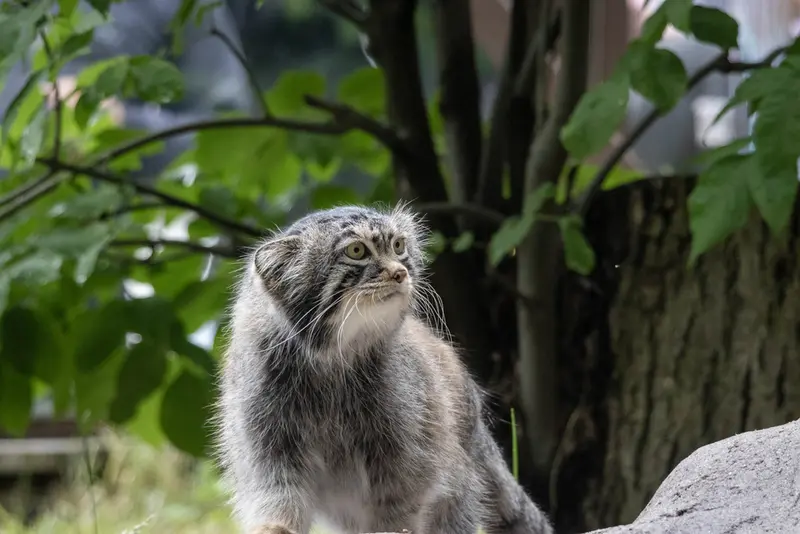 A photograph of Timofey in Moscow zoo