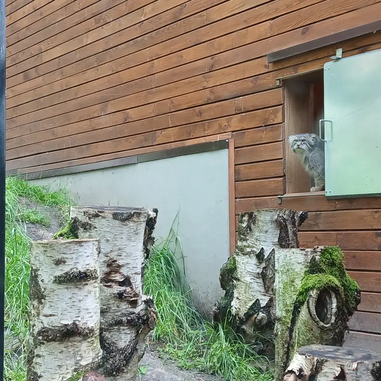 A photograph of Manuel in Gdansk Zoo