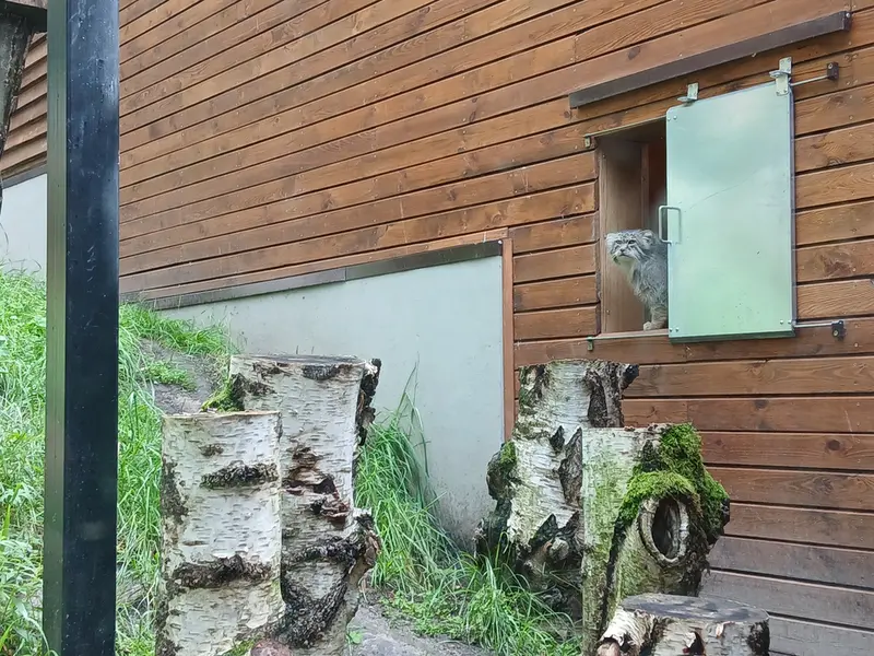 A photograph of Manuel in Gdansk Zoo