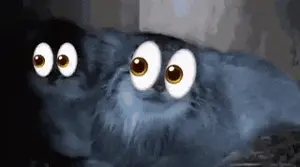 A photograph of a Pallas's cat