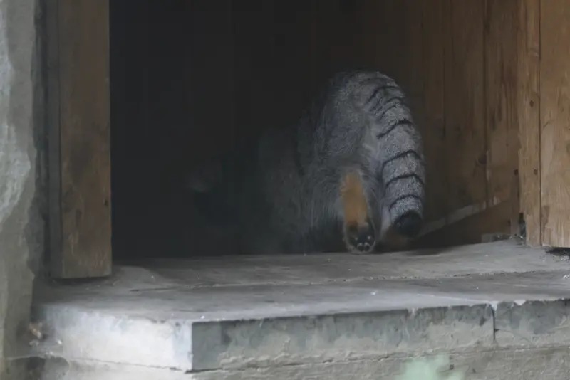 A photograph of Timofey in Moscow zoo