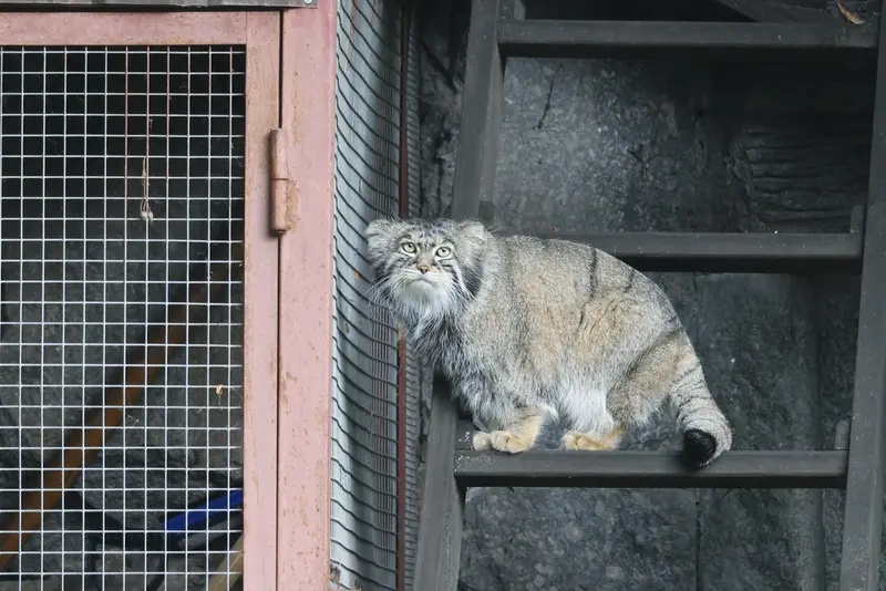 A photograph of Timofey in Moscow zoo