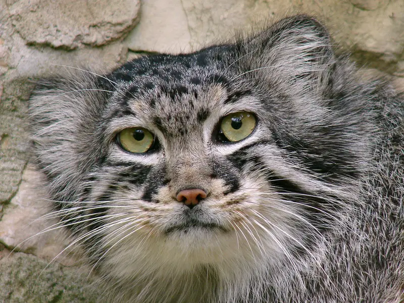 A photograph of Hurst in Riga Zoo