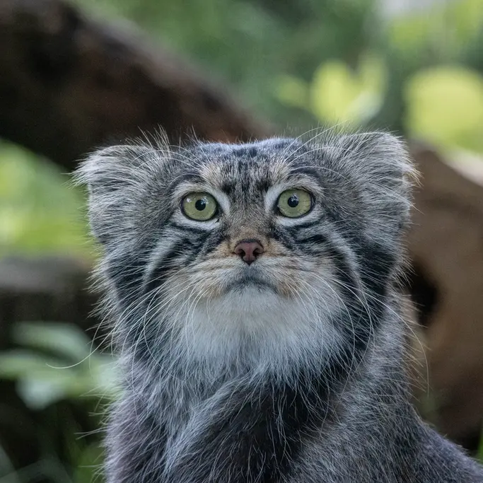 A photograph of Timofey in Moscow zoo