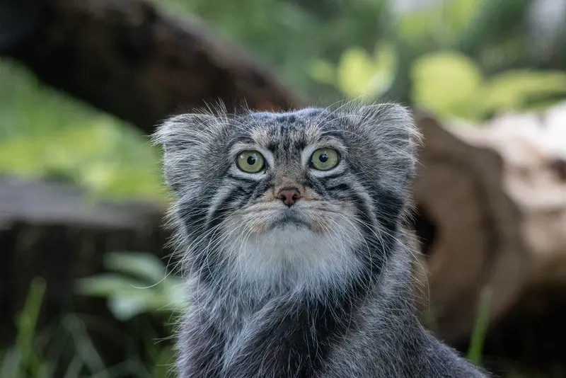 A photograph of Timofey in Novosibirsk Zoo