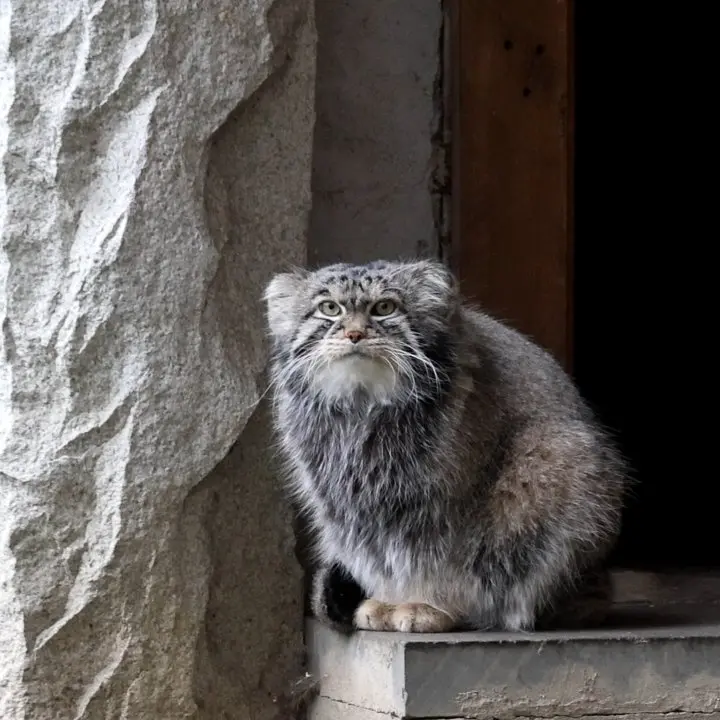 A photograph of Timofey in Moscow zoo