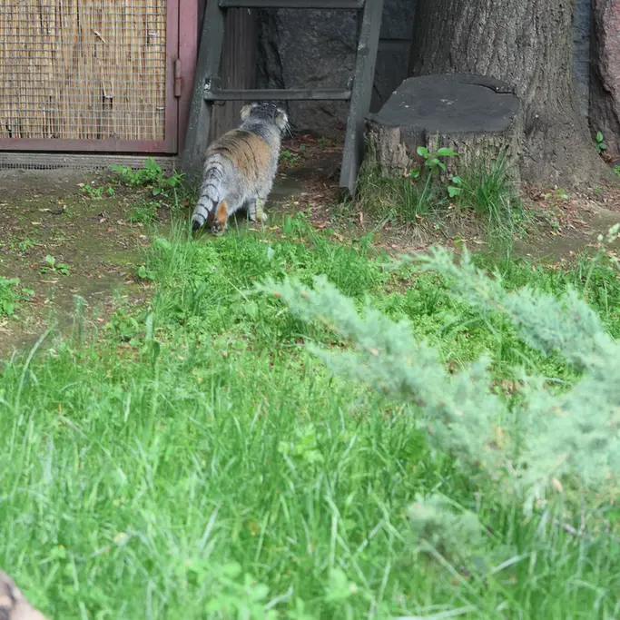 A photograph of Timofey in Moscow zoo
