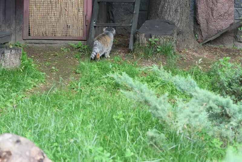 A photograph of Timofey in Moscow zoo
