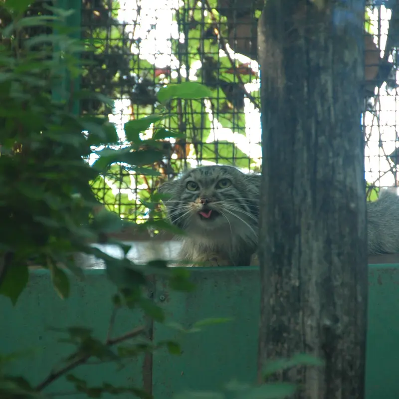A photograph of Lucy in Budapest Zoo & Botanical Garden