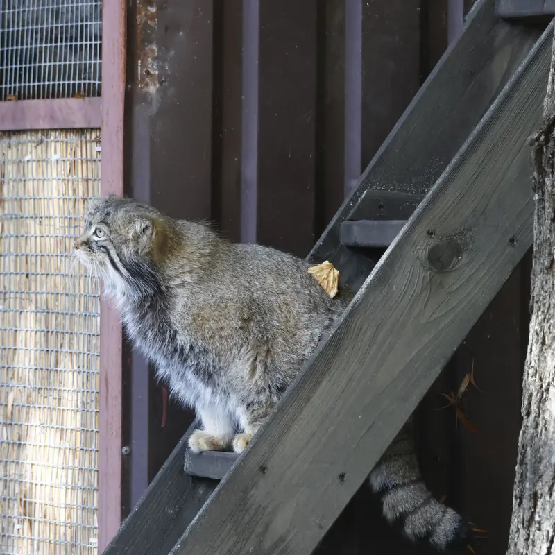 A photograph of Timofey in Moscow zoo