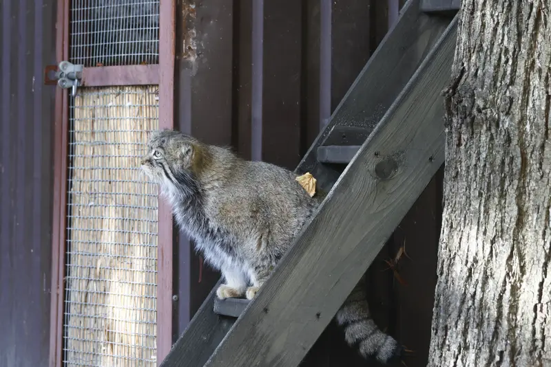 A photograph of Timofey in Moscow zoo
