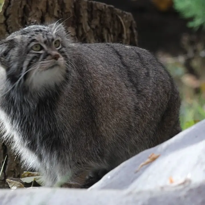 A photograph of Timofey in Moscow zoo