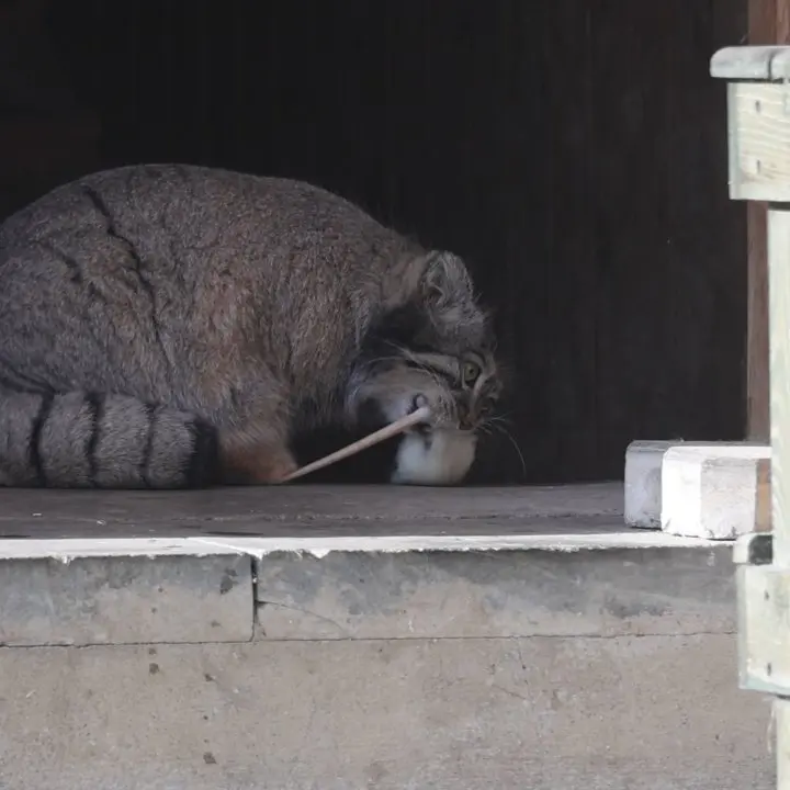 A photograph of Timofey in Moscow zoo