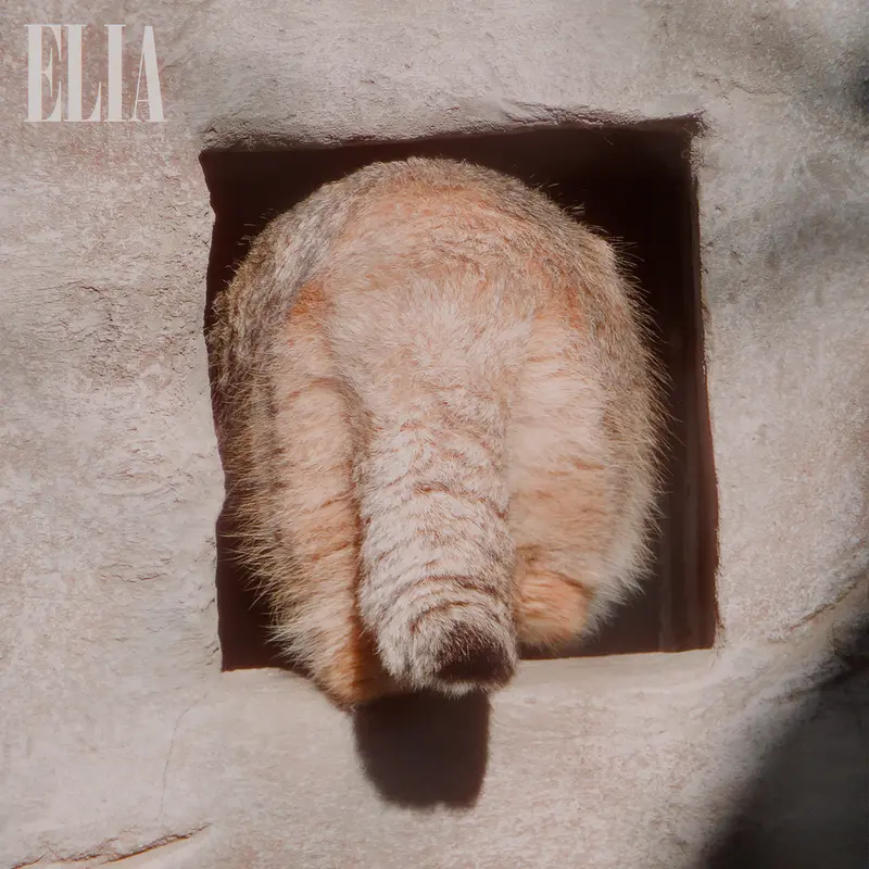 A photograph of Olaf in Calgary Zoo / Wilder Institute