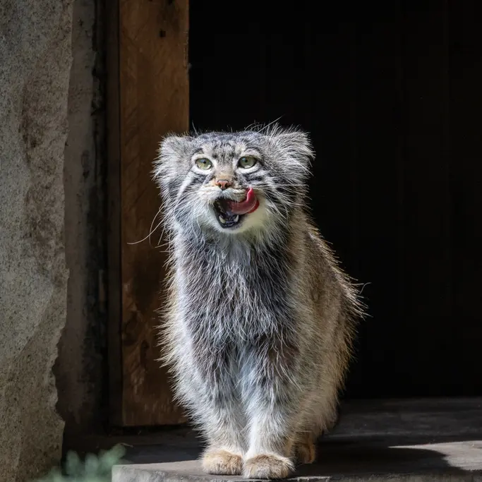 A photograph of Timofey in Moscow zoo