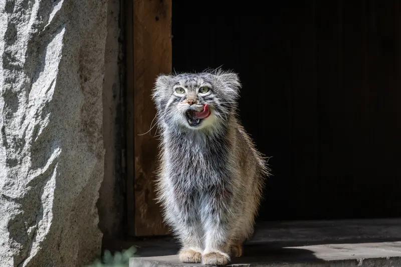 A photograph of Timofey in Moscow zoo