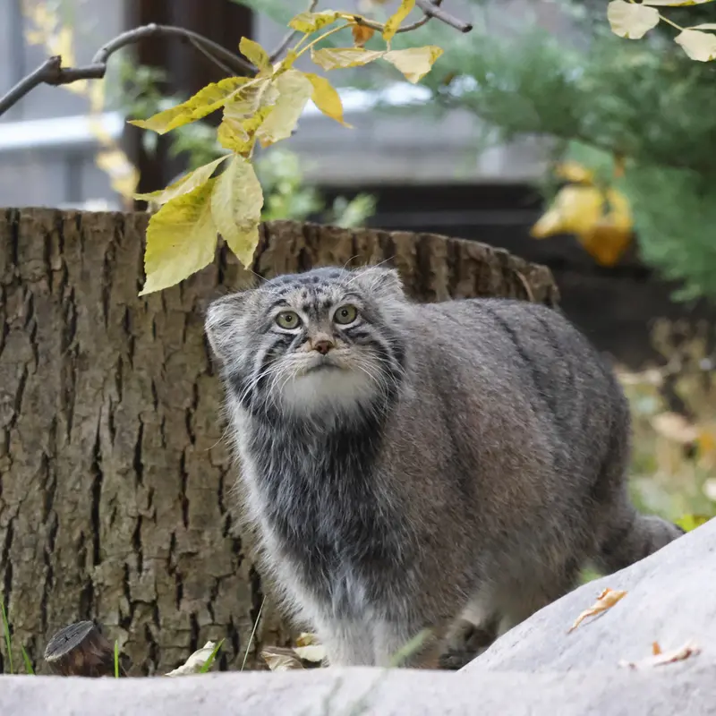A photograph of Timofey in Moscow zoo