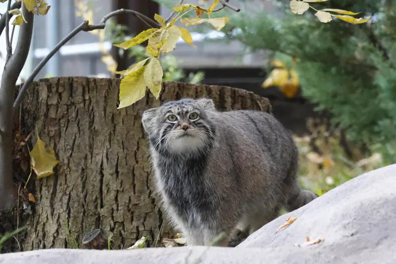 A photograph of Timofey in Moscow zoo
