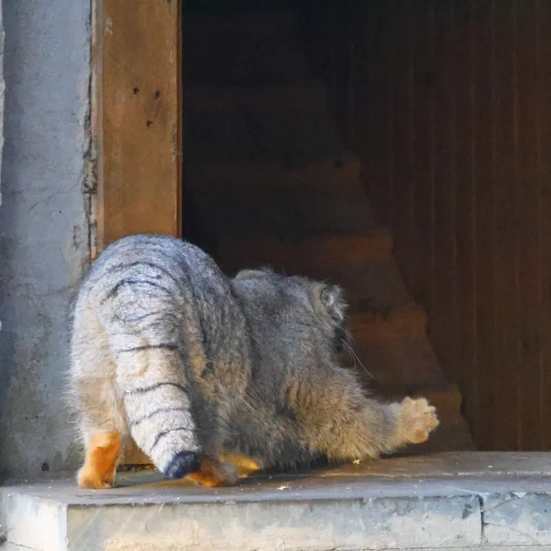 A photograph of Timofey in Moscow zoo