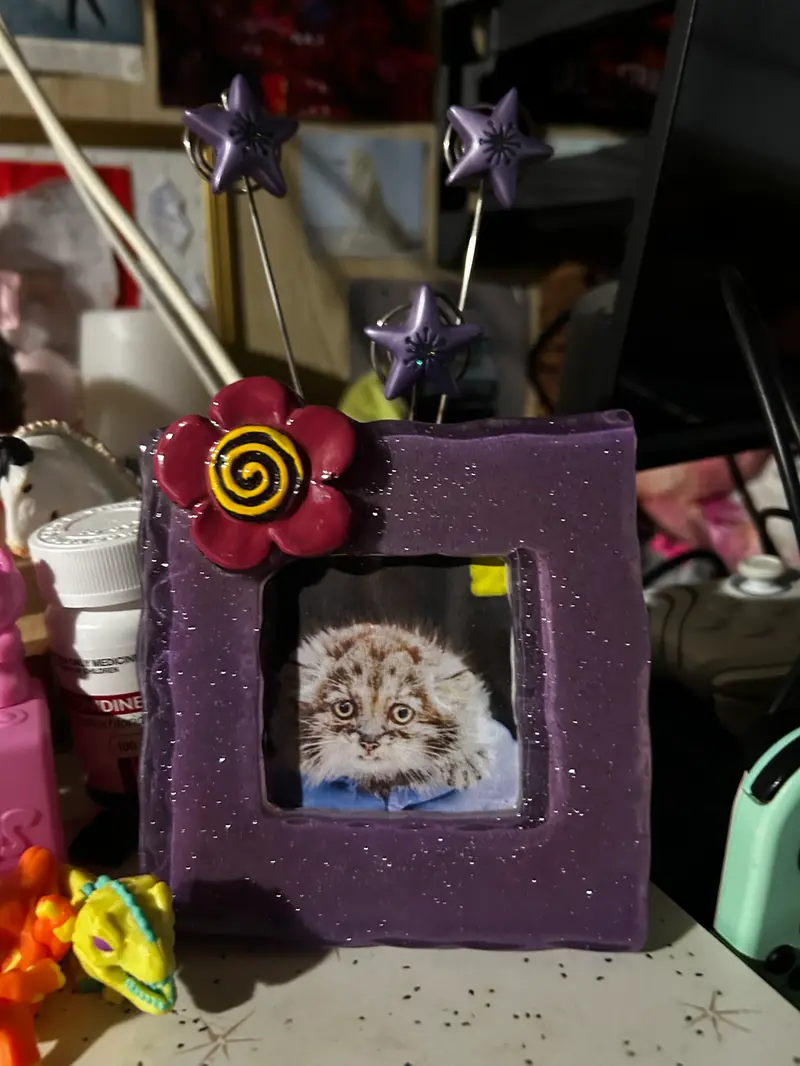 A photograph of Prinsessa