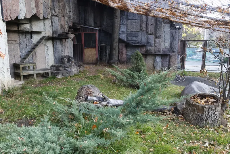 A photograph of Timofey in Moscow zoo