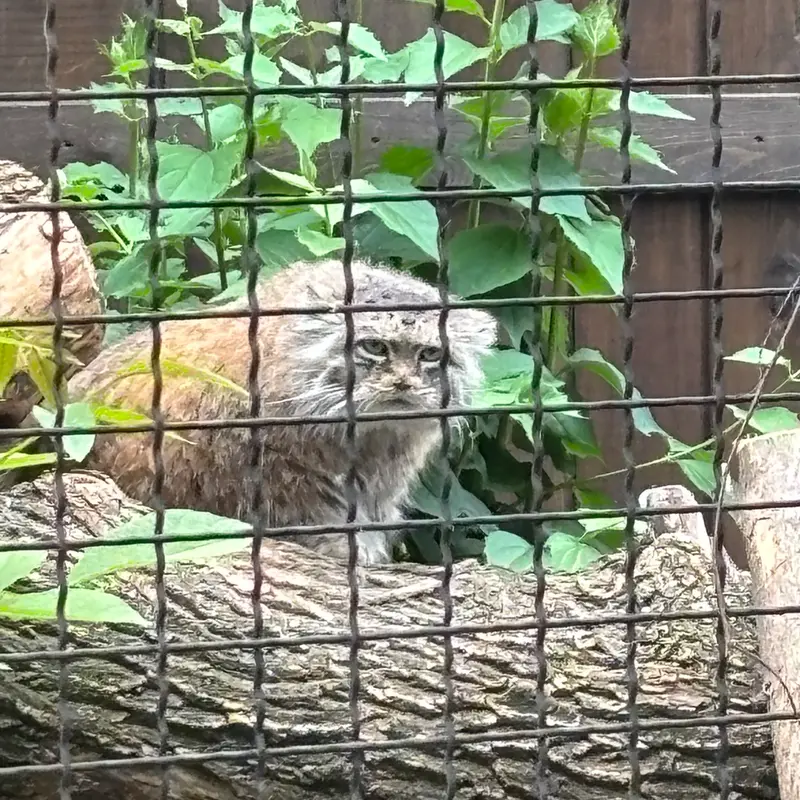 A photograph of Jessie in Warsaw Zoo