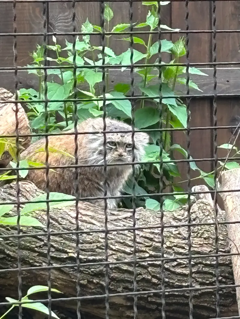A photograph of Jessie in Warsaw Zoo