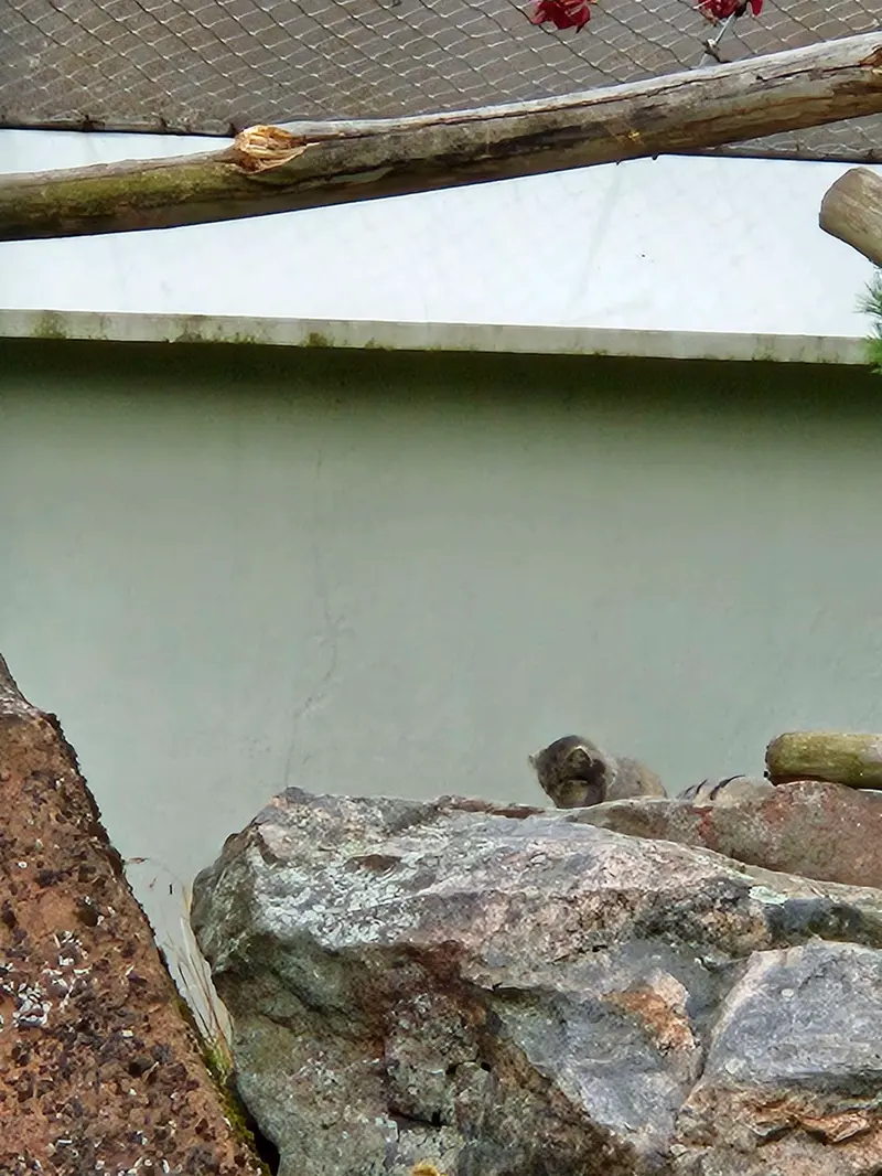 A photograph of Sten and Saimi in Korkeasaari Zoo