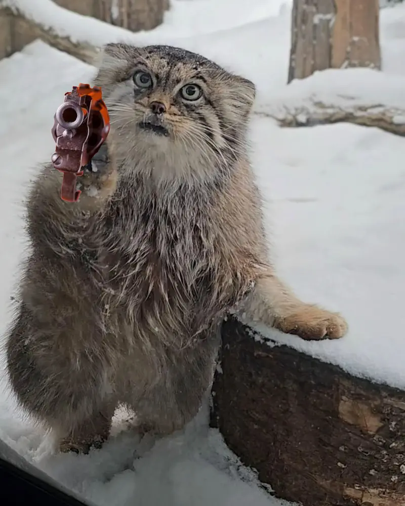 A photograph of Polly