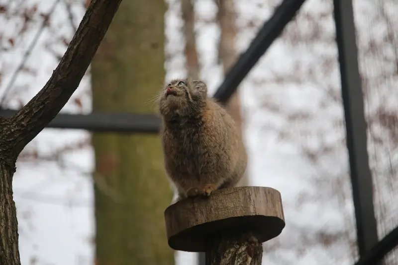 A photograph of Ula in Gdansk Zoo