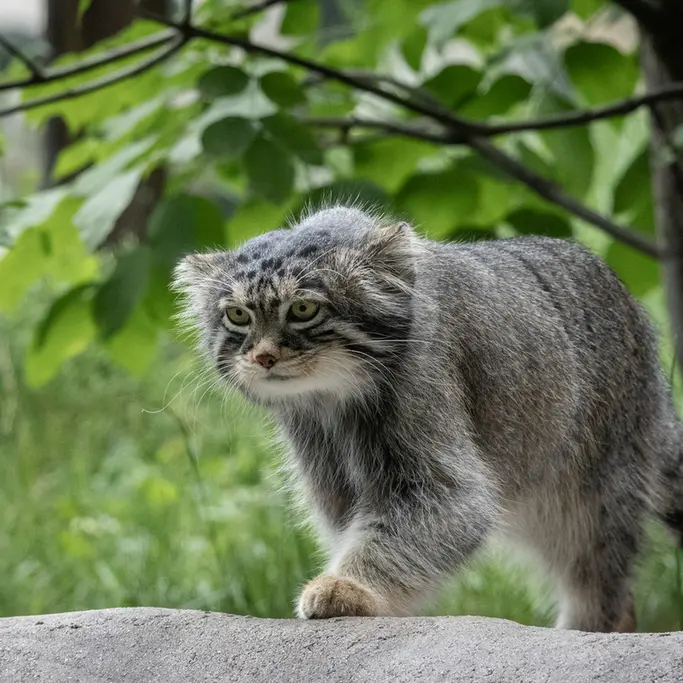 A photograph of Timofey in Moscow zoo