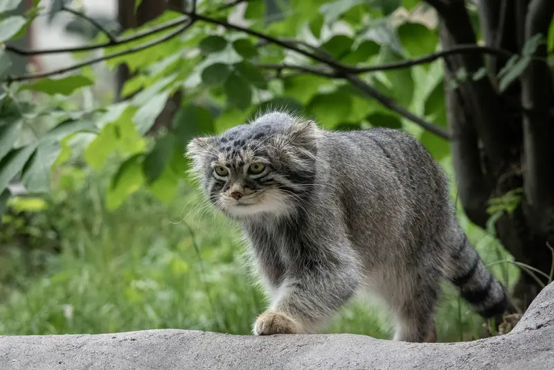 A photograph of Timofey in Moscow zoo