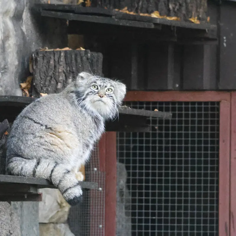 A photograph of Timofey in Moscow zoo