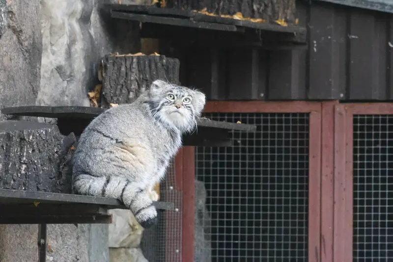 A photograph of Timofey in Moscow zoo