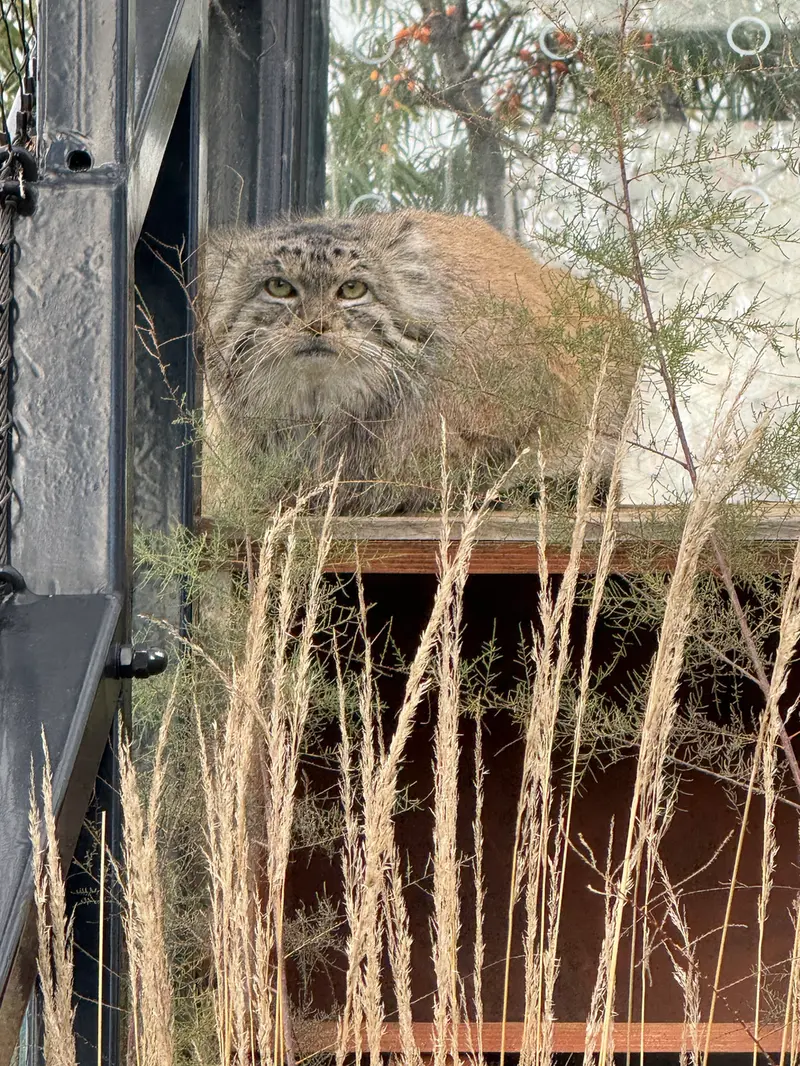 A photograph of Spay in Prague Zoo