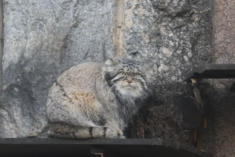 A photograph of Timofey in Moscow zoo