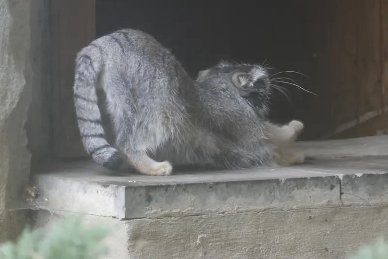 A photograph of Timofey in Moscow zoo