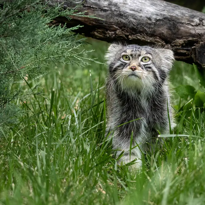 A photograph of Timofey in Moscow zoo