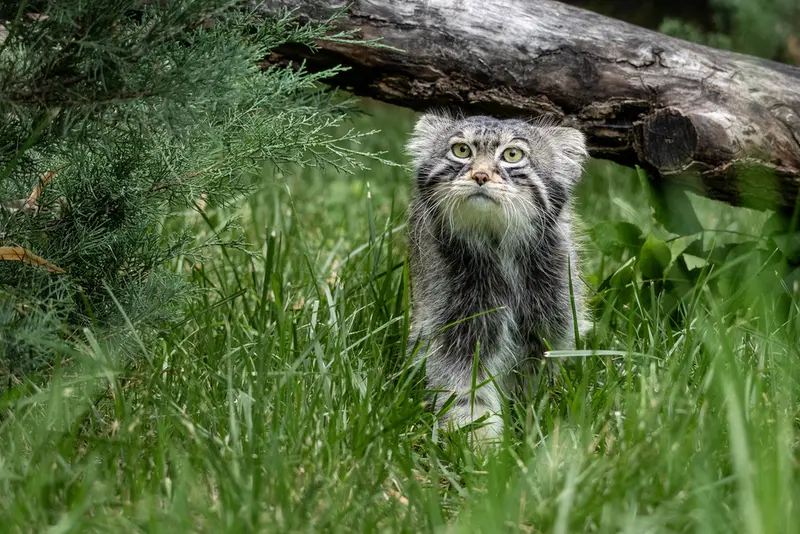 A photograph of Timofey in Moscow zoo