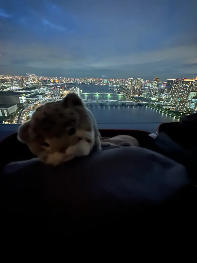 Got my plushie Pallas cat from Ueno zoo!