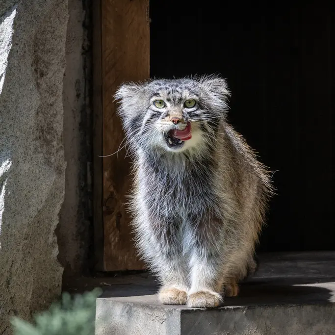 A photograph of Timofey in Moscow zoo