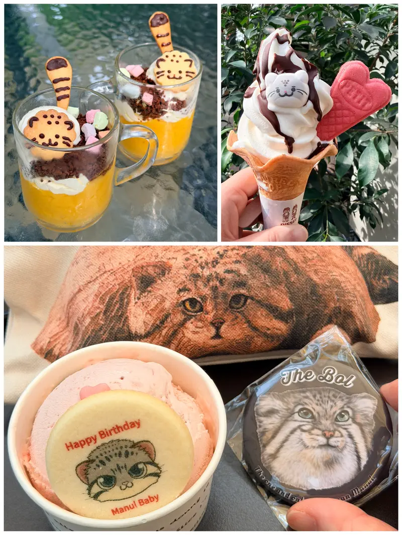 🐾 Manul Sweets🐾